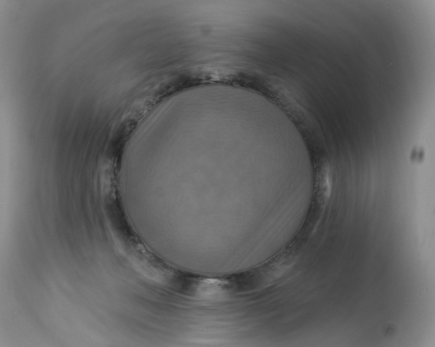 X0000113230222200910011417