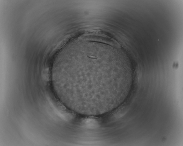 X0000113230224200910011417