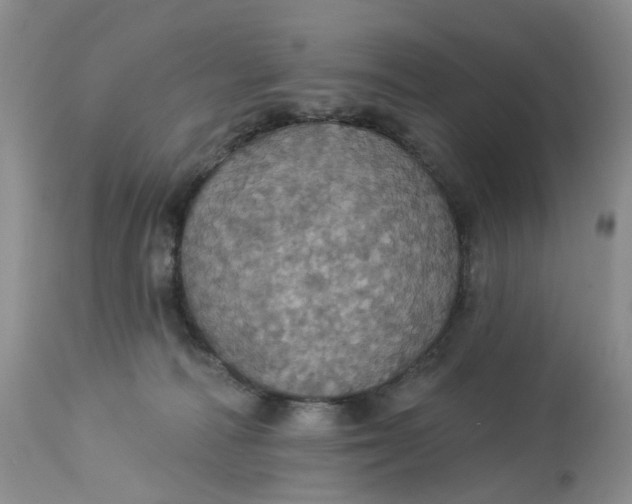 X0000113230226200910011417