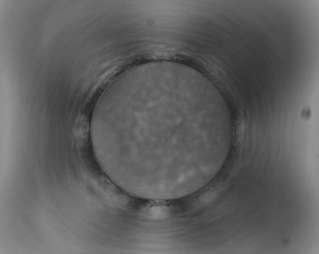 X0000113230228200910011417