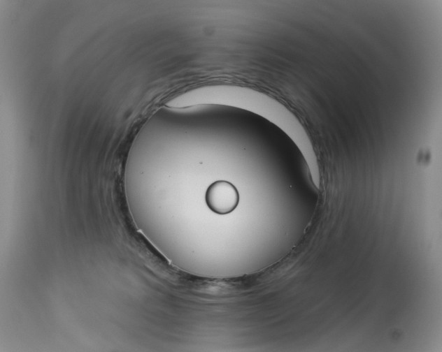 X0000113230229200910011417