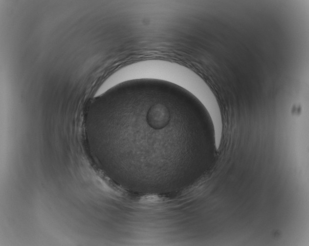 X0000113230231200910011417