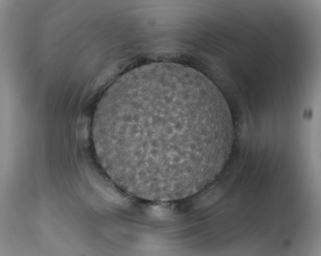 X0000113230232200910011417