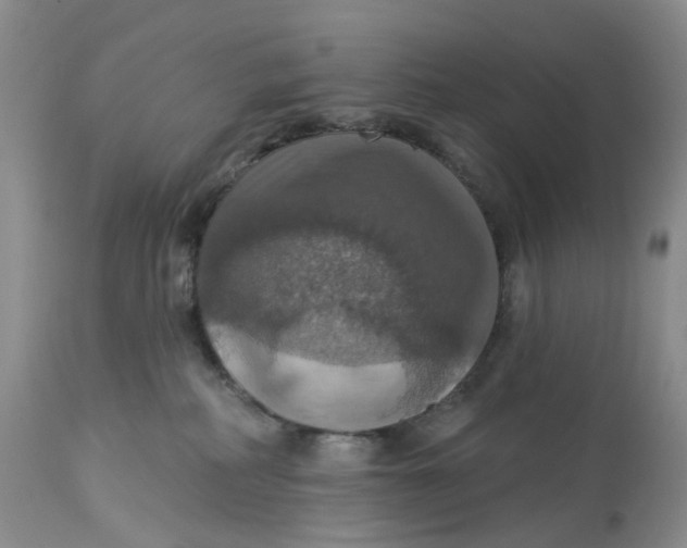 X0000113230234200910011417