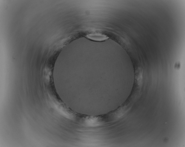 X0000113230235200910011417