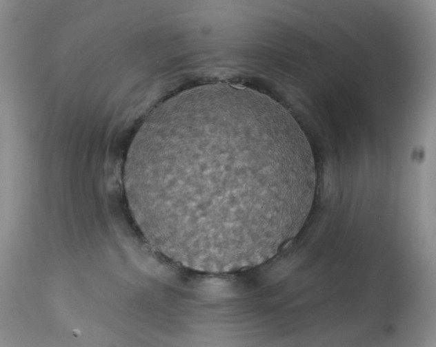 X0000113230236200910011417