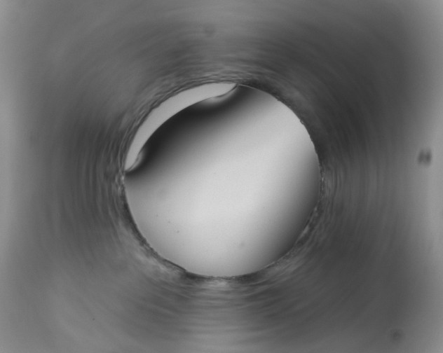 X0000113230237200910011417