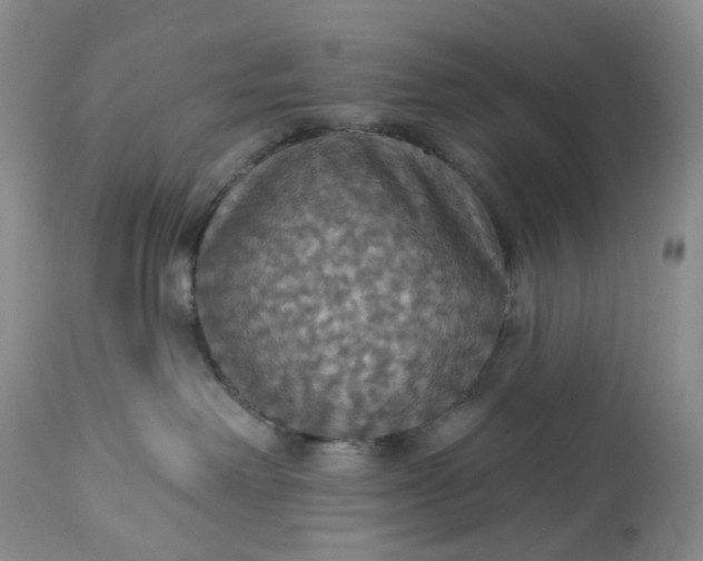 X0000113230238200910011417