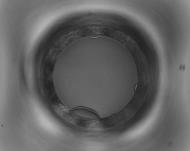 X0000113230239200910011417