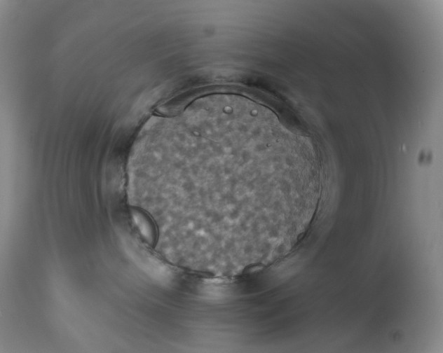 X0000113230240200910011416