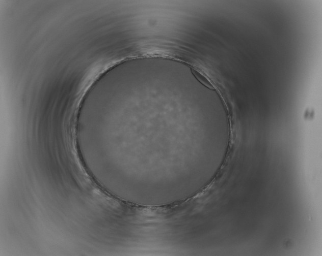 X0000113230241200910011416