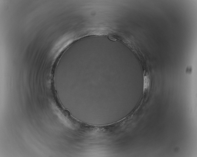 X0000113230243200910011416