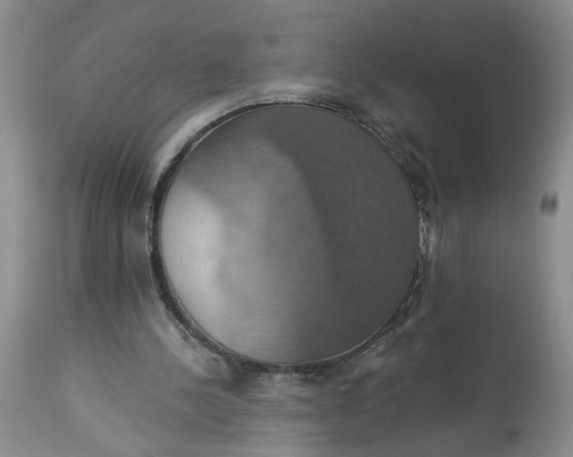 X0000113230244200910011416