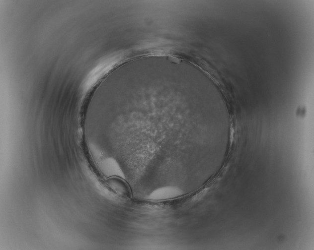 X0000113230245200910011416