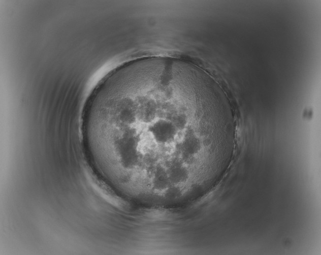 X0000113230246200910011416