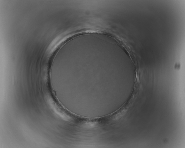 X0000113230247200910011416