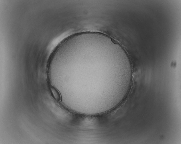 X0000113230248200910011416