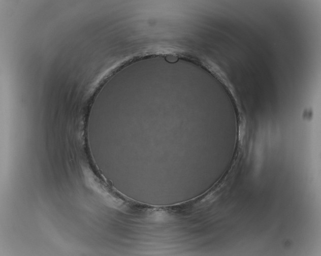 X0000113230249200910011416