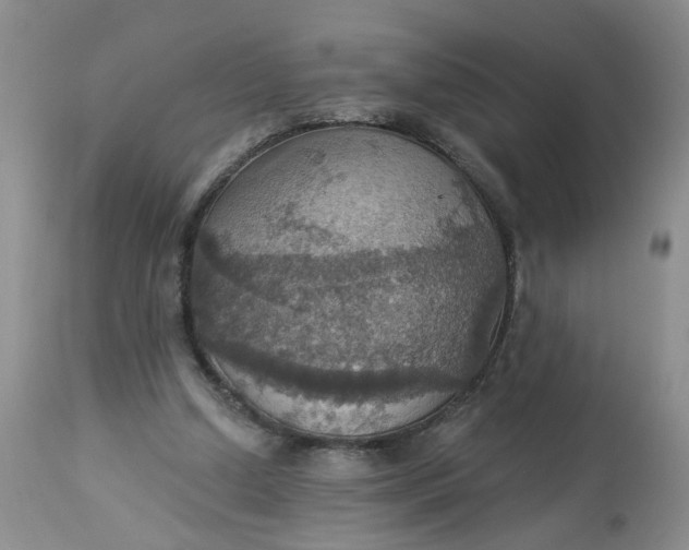 X0000113230250200910011416