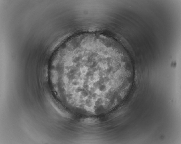 X0000113230251200910011416