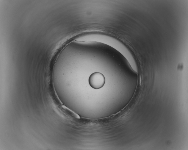 X0000113230252200910011416