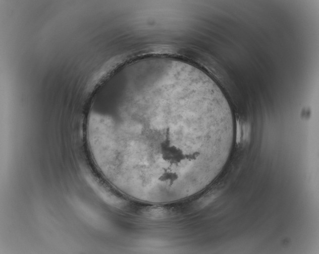 X0000113230253200910011416