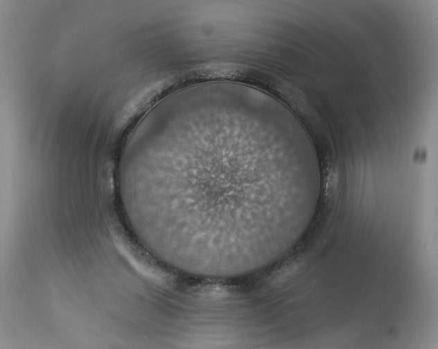 X0000113230254200910011416