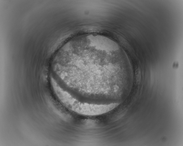 X0000113230255200910011416