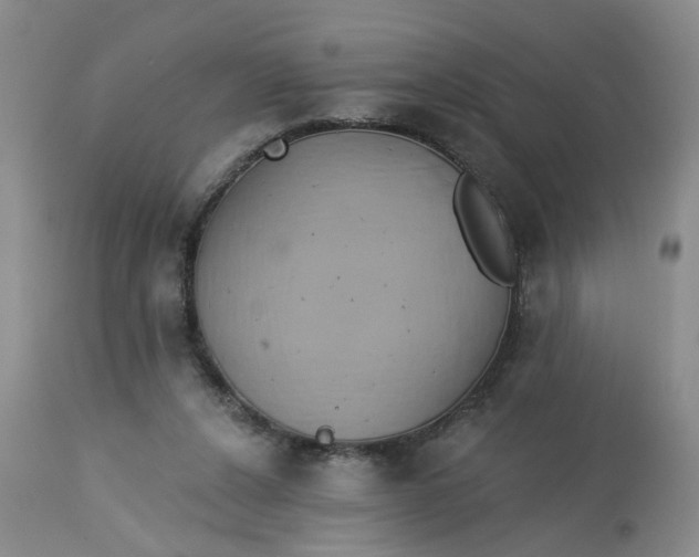 X0000113230256200910011416