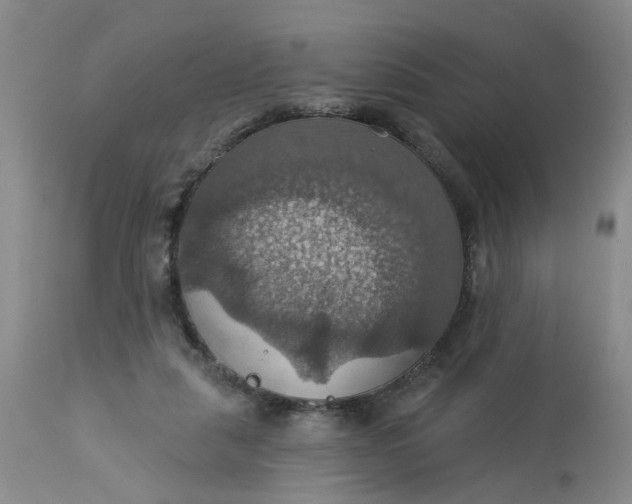 X0000113230259200910011416