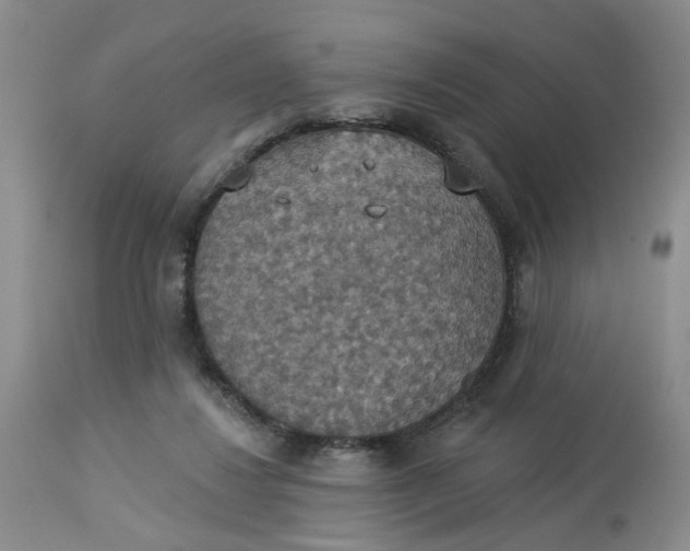 X0000113230260200910011416