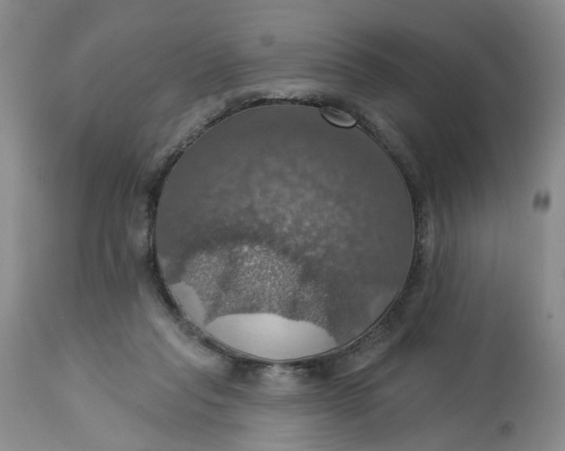 X0000113230261200910011416