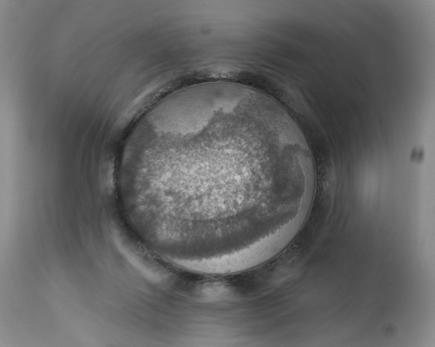 X0000113230262200910011416