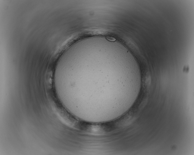 X0000113230264200910011416