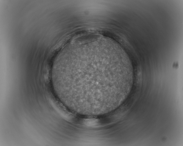 X0000113230266200910011416