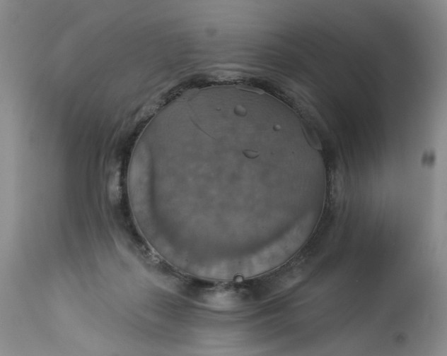 X0000113230267200910011416