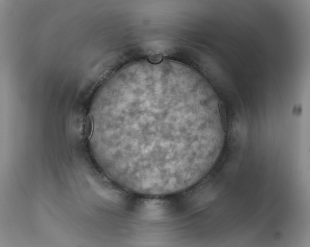 X0000113230268200910011416