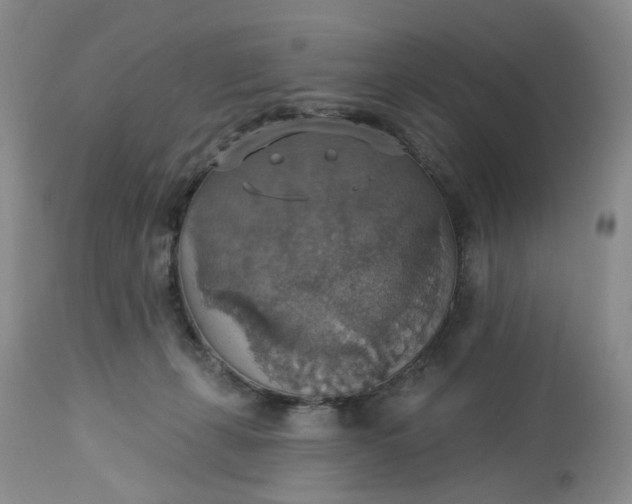 X0000113230271200910011416