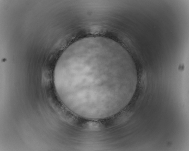 X0000113230272200910011416