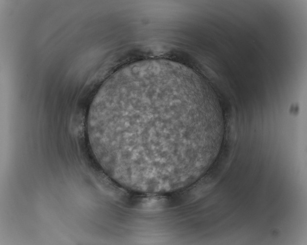 X0000113230274200910011416