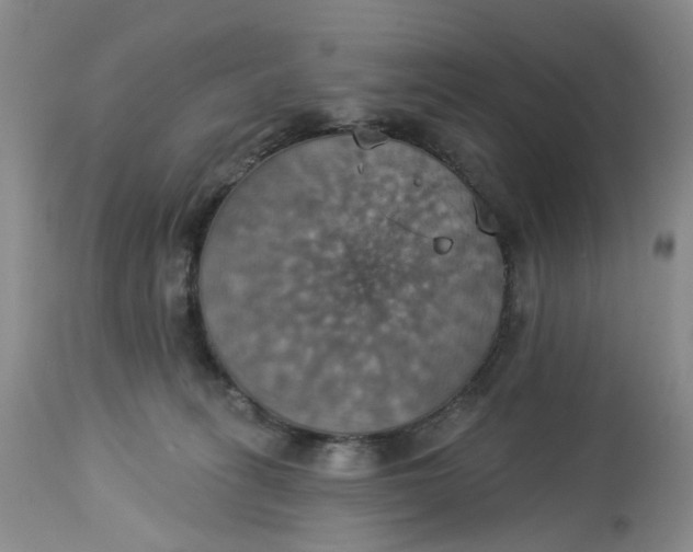 X0000113230275200910011416