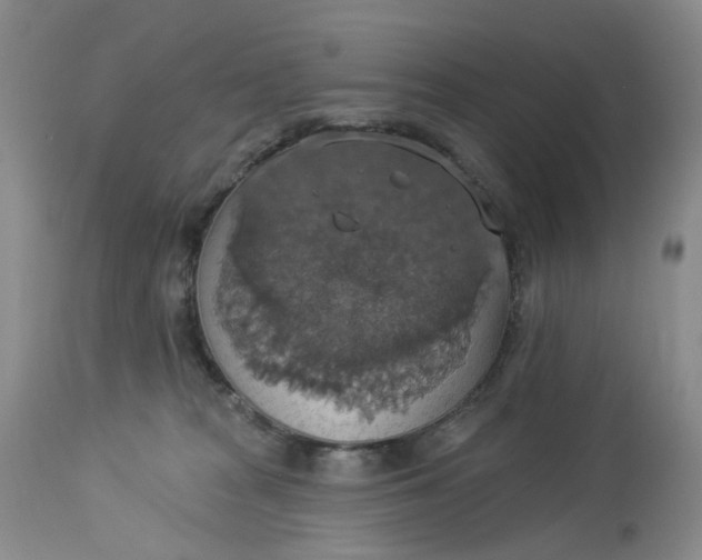 X0000113230277200910011416