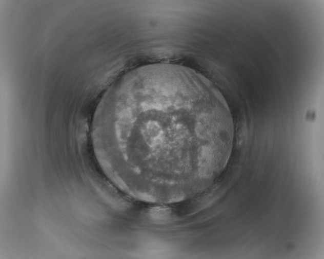 X0000113230279200910011416