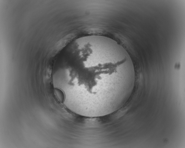 X0000113230281200910011416