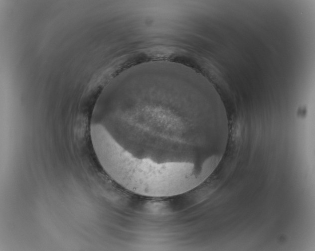 X0000113230283200910011416