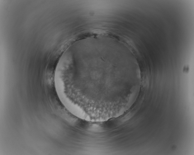 X0000113230285200910011416