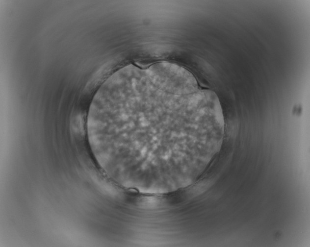 X0000113230286200910011416