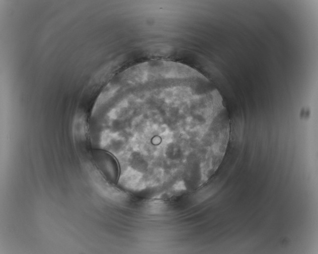 X0000113230287200910011416