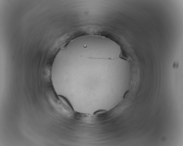 X0000113230288200910011416