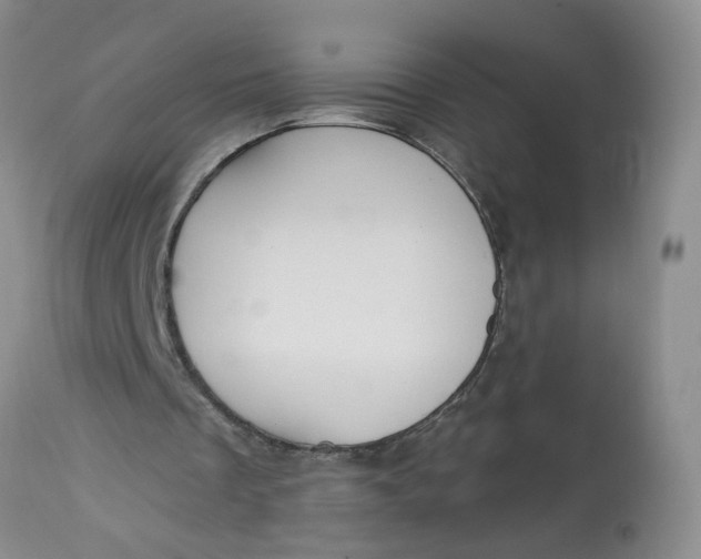 X0000113230289200910011416